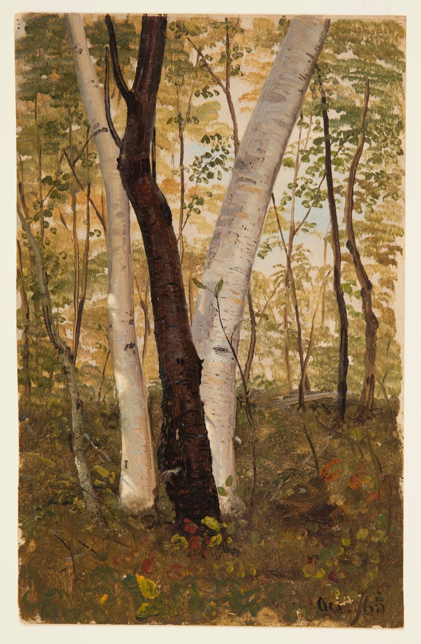 Im Wald, Hudson, New York von Frederic Edwin Church
