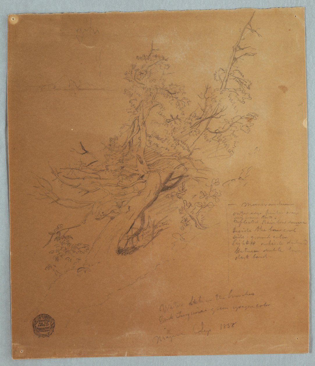 Rauer Baum an der kanadischen Bank unterhalb der Niagarafälle von Frederic Edwin Church