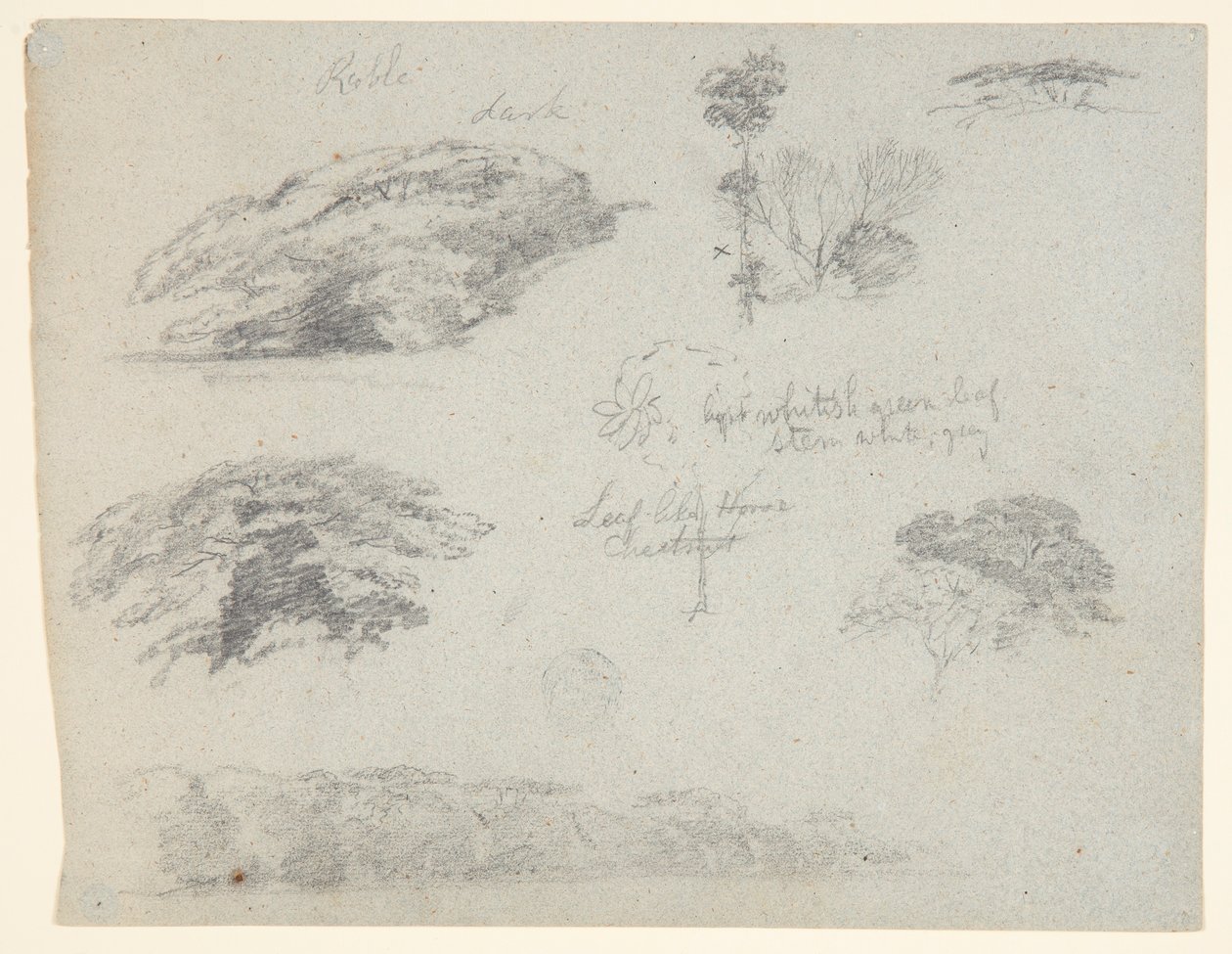 Bäume, Baumwipfel und ein bewaldetes Ufer, Saddleback, Maine von Frederic Edwin Church