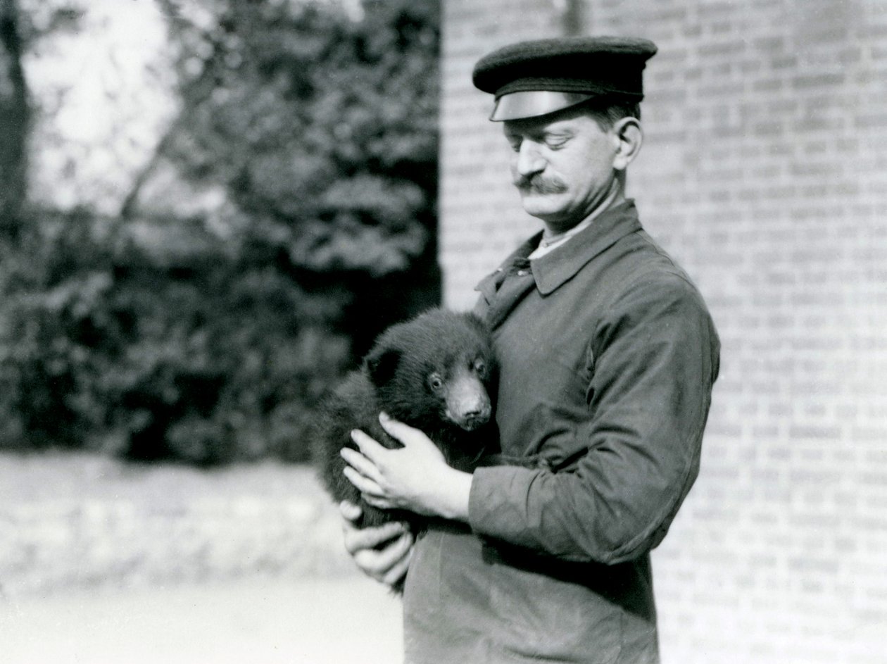 Ein Wärter hält ein Faultierjunges im Londoner Zoo, August 1921 von Frederick William Bond