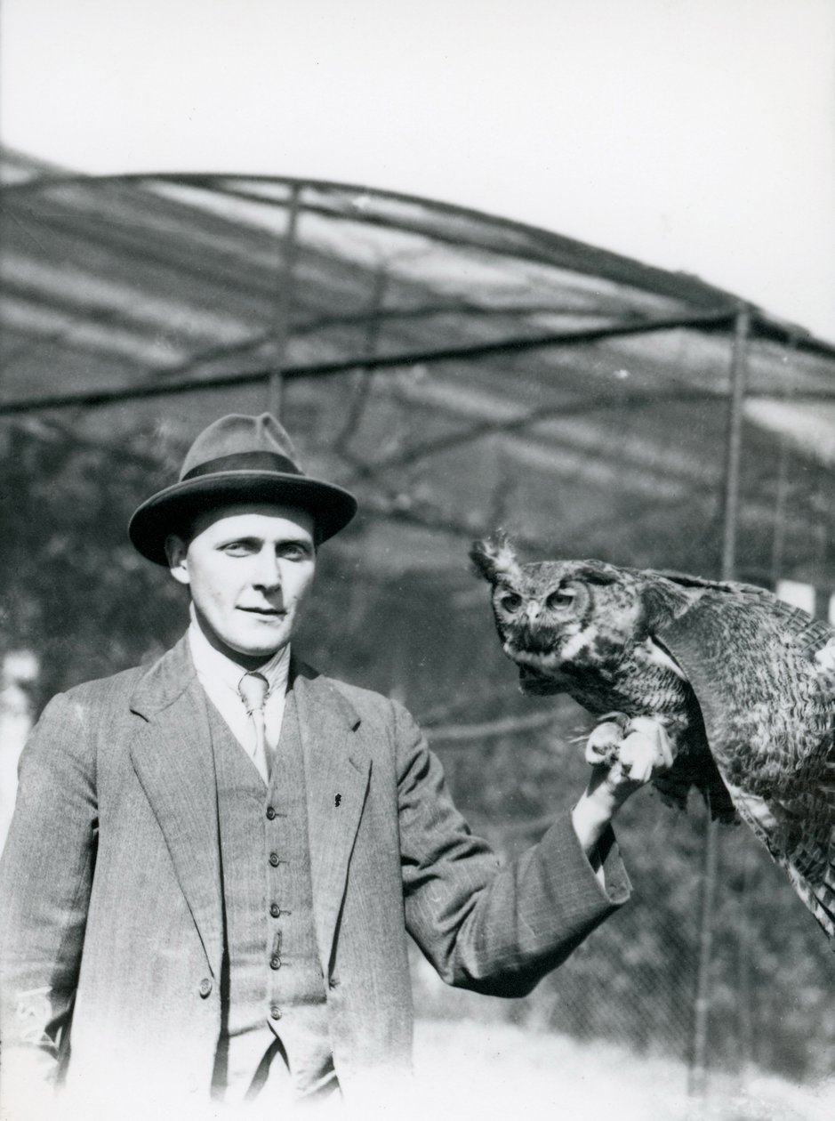 Ein Uhu, gehalten von J. Bailey, Vogelaufseher im Londoner Zoo für dreißig Jahre. Juni 1920 von Frederick William Bond