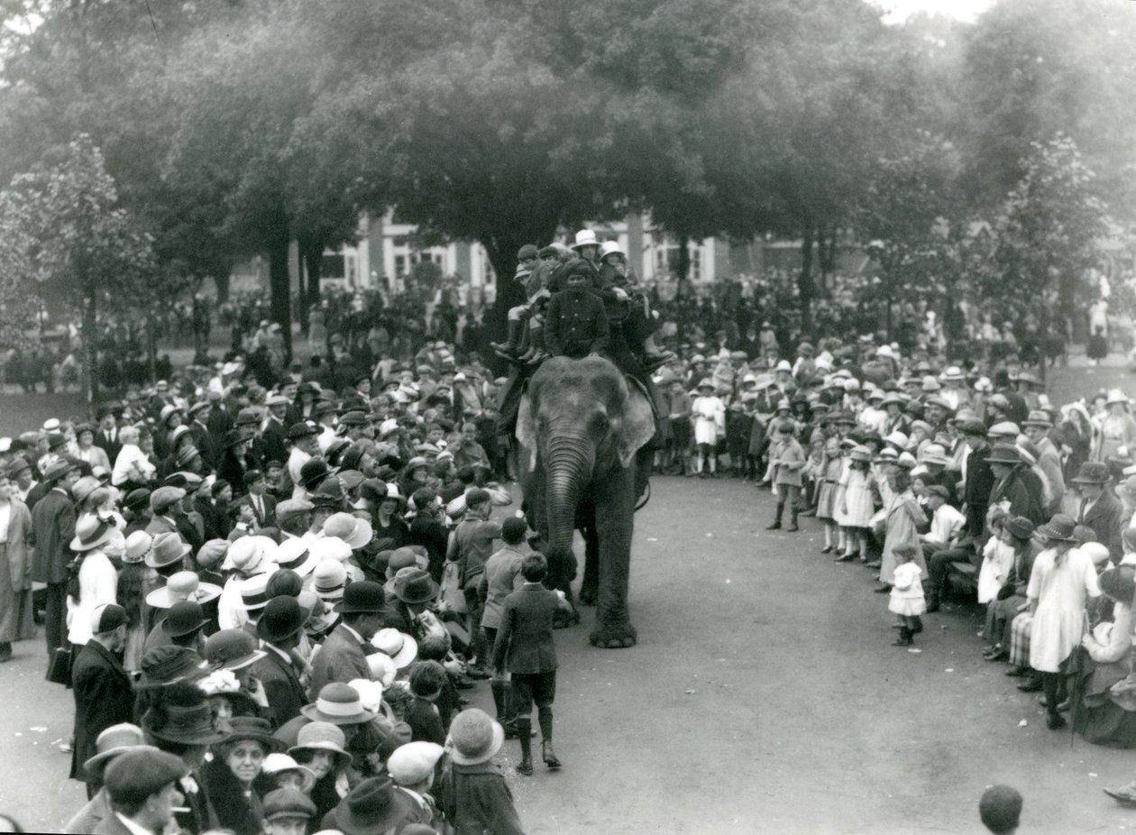 Menschenmengen beobachten eine Elefantenfahrt im Londoner Zoo, August Bank Holiday, 1922 von Frederick William Bond