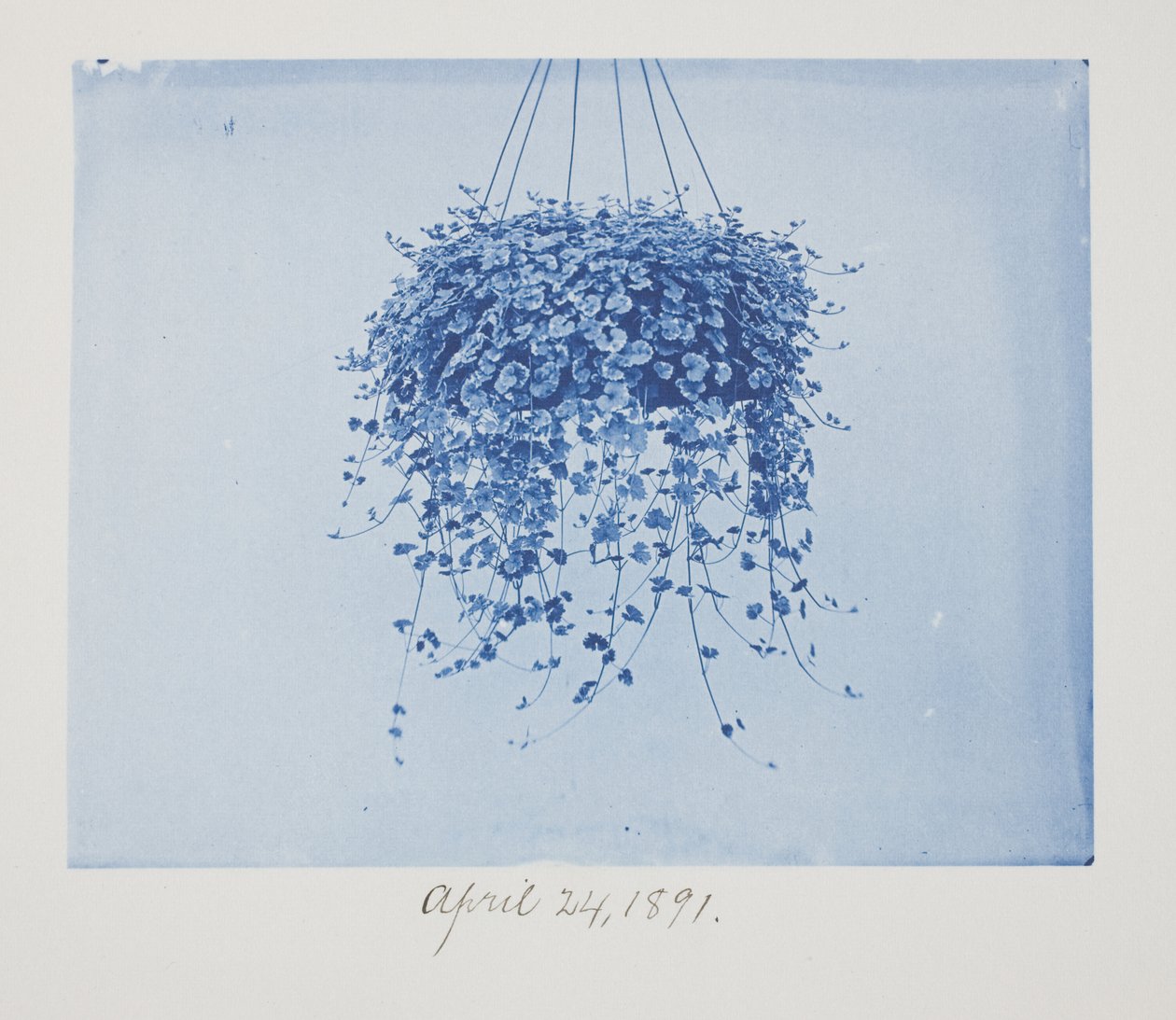 Ohne Titel, 24. April von Frederick K. Coulson