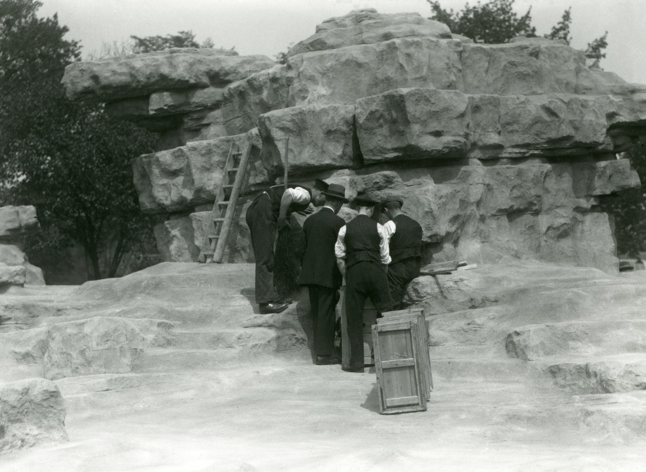 Eine Gruppe von Wärtern packt heilige Paviane zwischen den Felsen des 