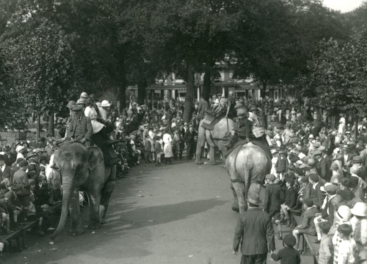 Elefantenritte, mit drei asiatischen Elefanten, beobachtet von Menschenmengen im London Zoo im August 1926 von Frederick William Bond