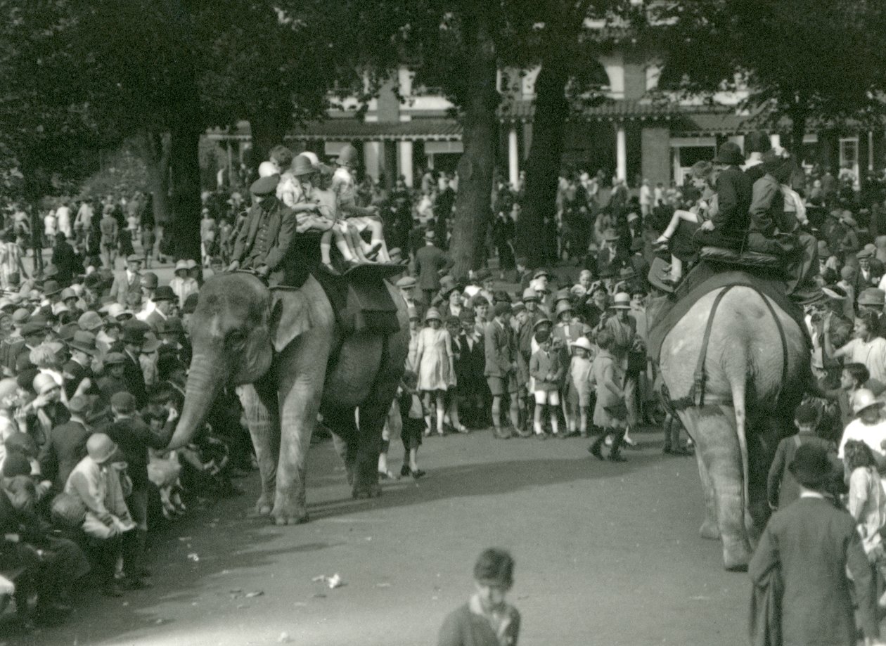 Elefantenritte, mit zwei asiatischen Elefanten, beobachtet von Menschenmengen im London Zoo im August 1926 von Frederick William Bond