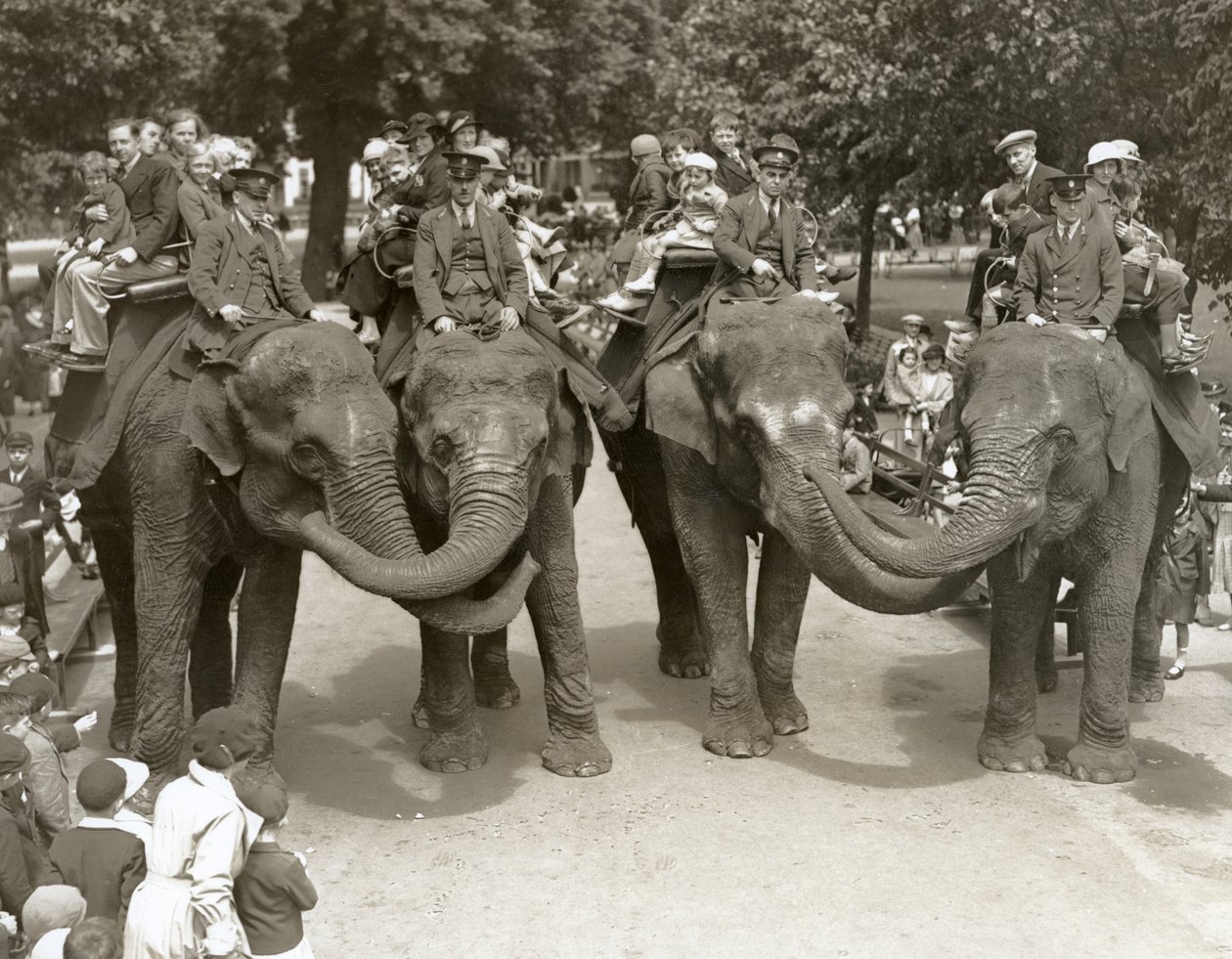 Elefantenreiten im Londoner Zoo, Juli 1936 von Frederick William Bond