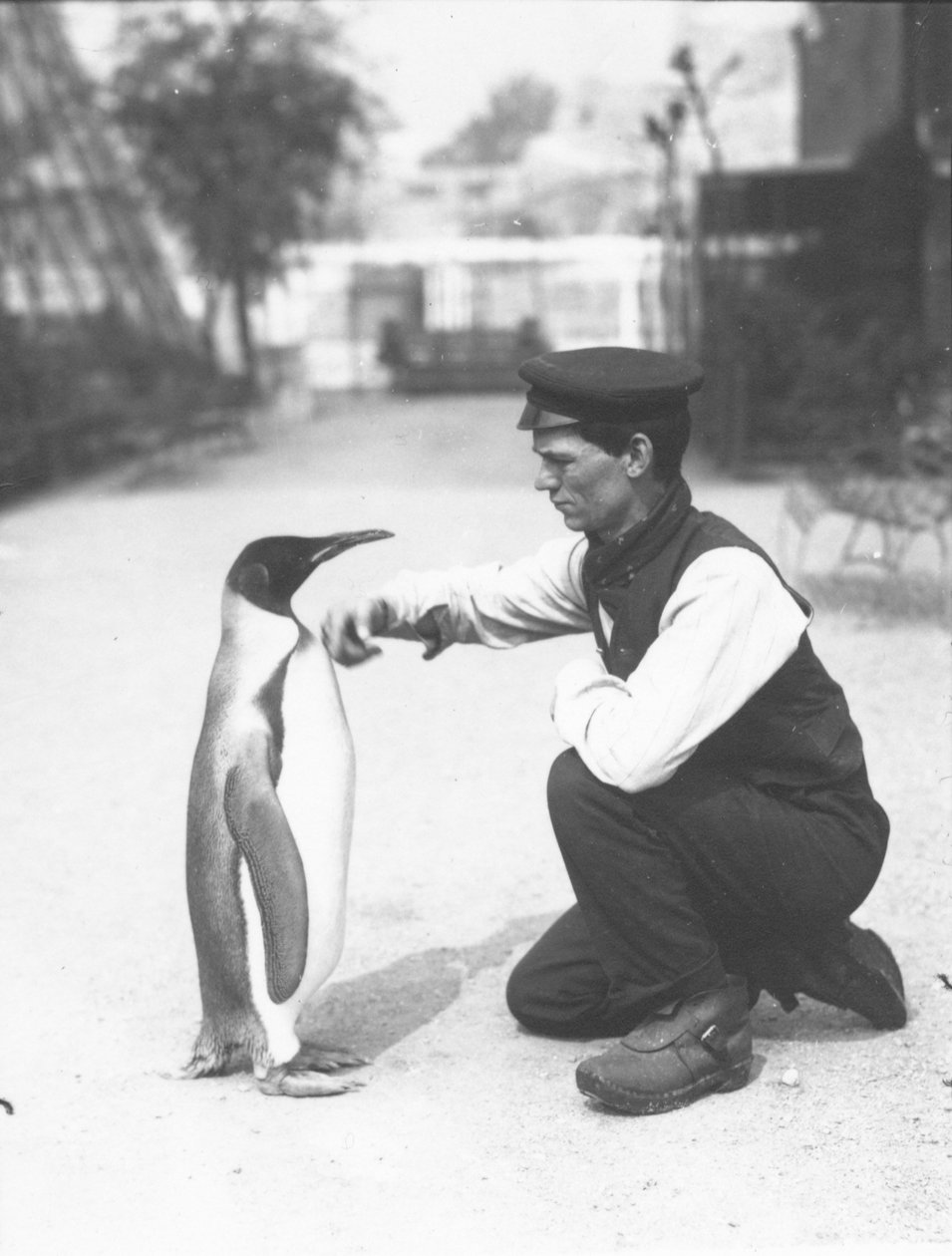 Königspinguin mit Wärter Harry Munro, 1914 von Frederick William Bond