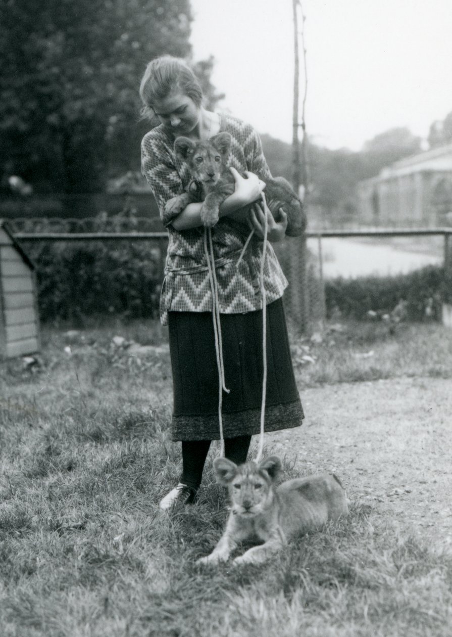 Zwei Löwenjunge mit einer jungen Frau im Londoner Zoo im August 1925 von Frederick William Bond