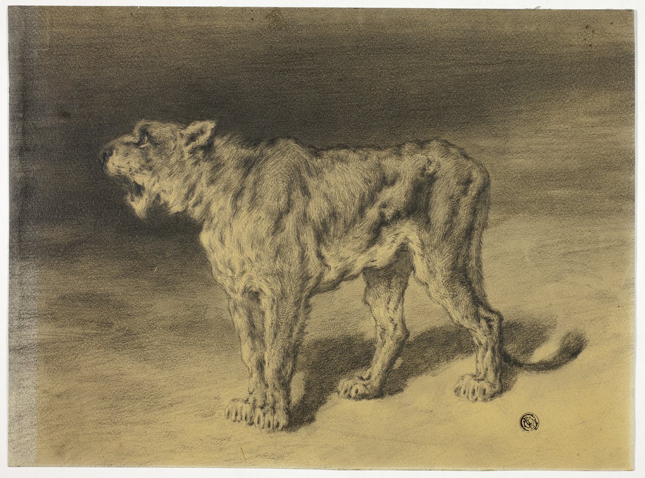 Brüllende Löwin von Frederik William Zurcher