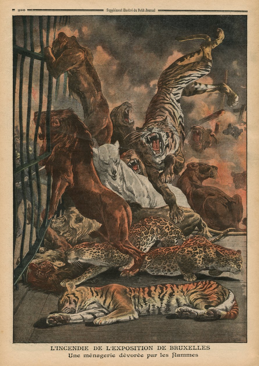 Das Feuer auf der Weltausstellung in Brüssel, ein Menagerie wird von den Flammen verzehrt, Illustration aus 