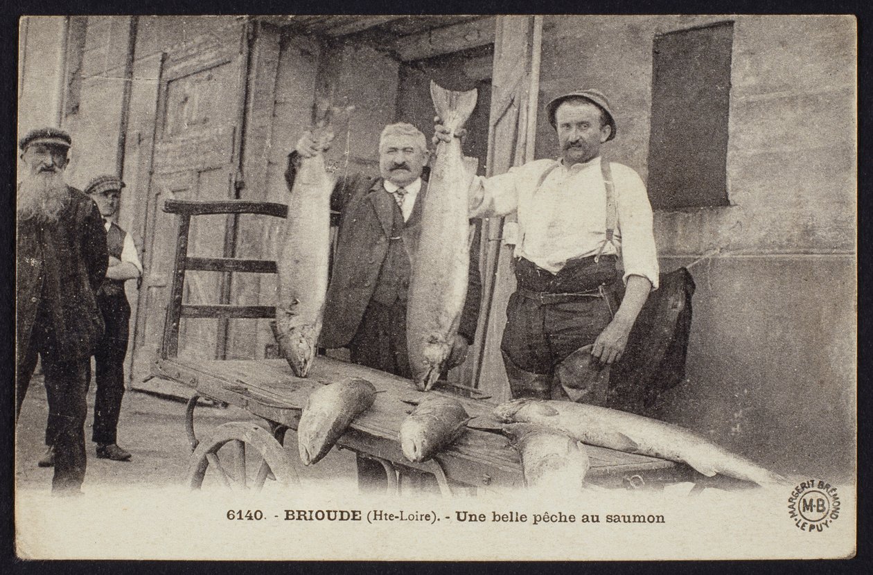Postkarte, die einen guten Fang von Lachsen in Brioude, Haute-Loire, um 1900 darstellt von French Photographer