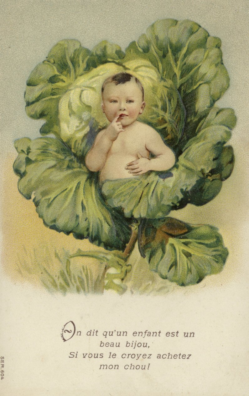 Baby in einem Kohlkopf von French School