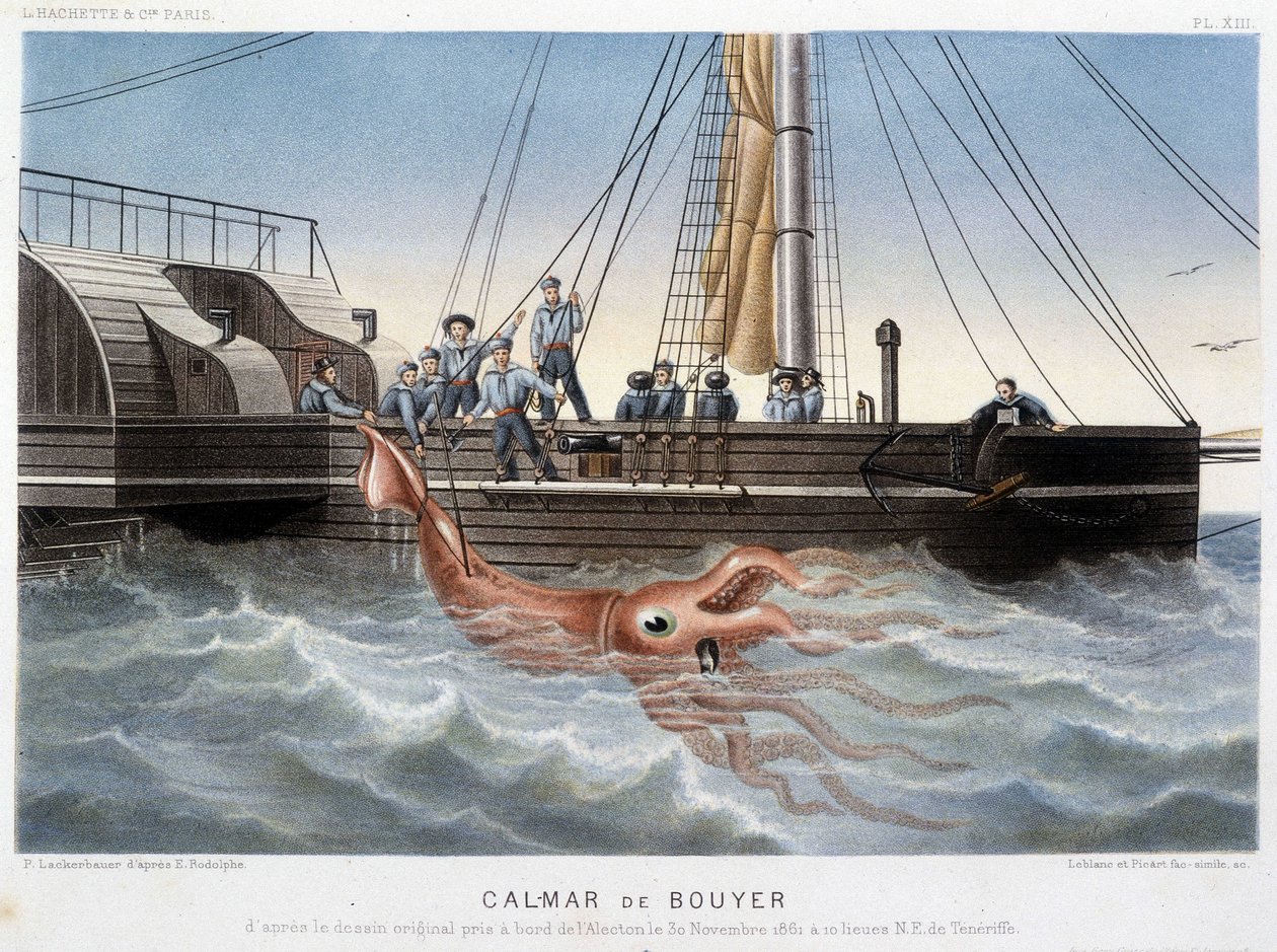 Bouyer-Tintenfisch - in „Le monde de la mer“ von Alfred Fredol, Hachette, Paris von French School