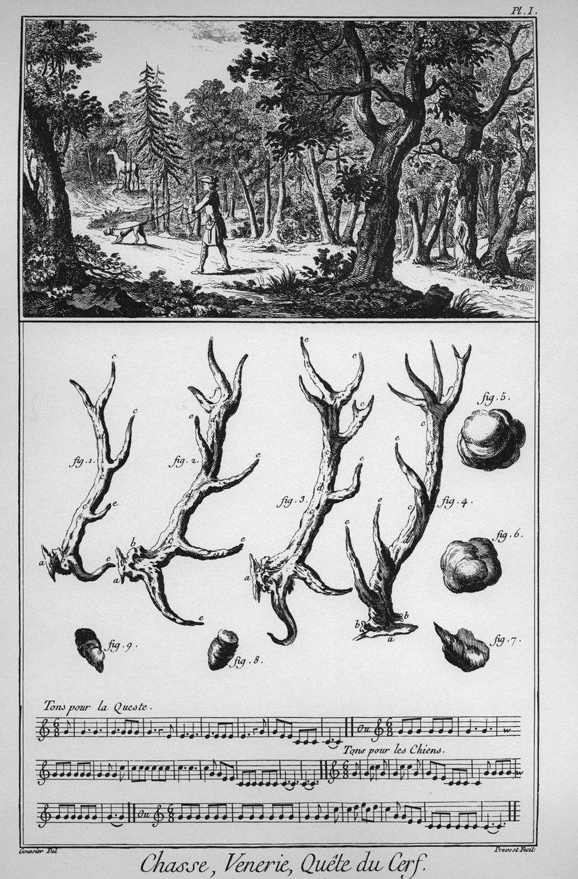 Jagd - die Suche nach dem Hirsch - „Die Große Enzyklopädie, oder Dictionnaire Raisonne des Sciences, des Arts et des Metiers“ von Denis Diderot und Jean d