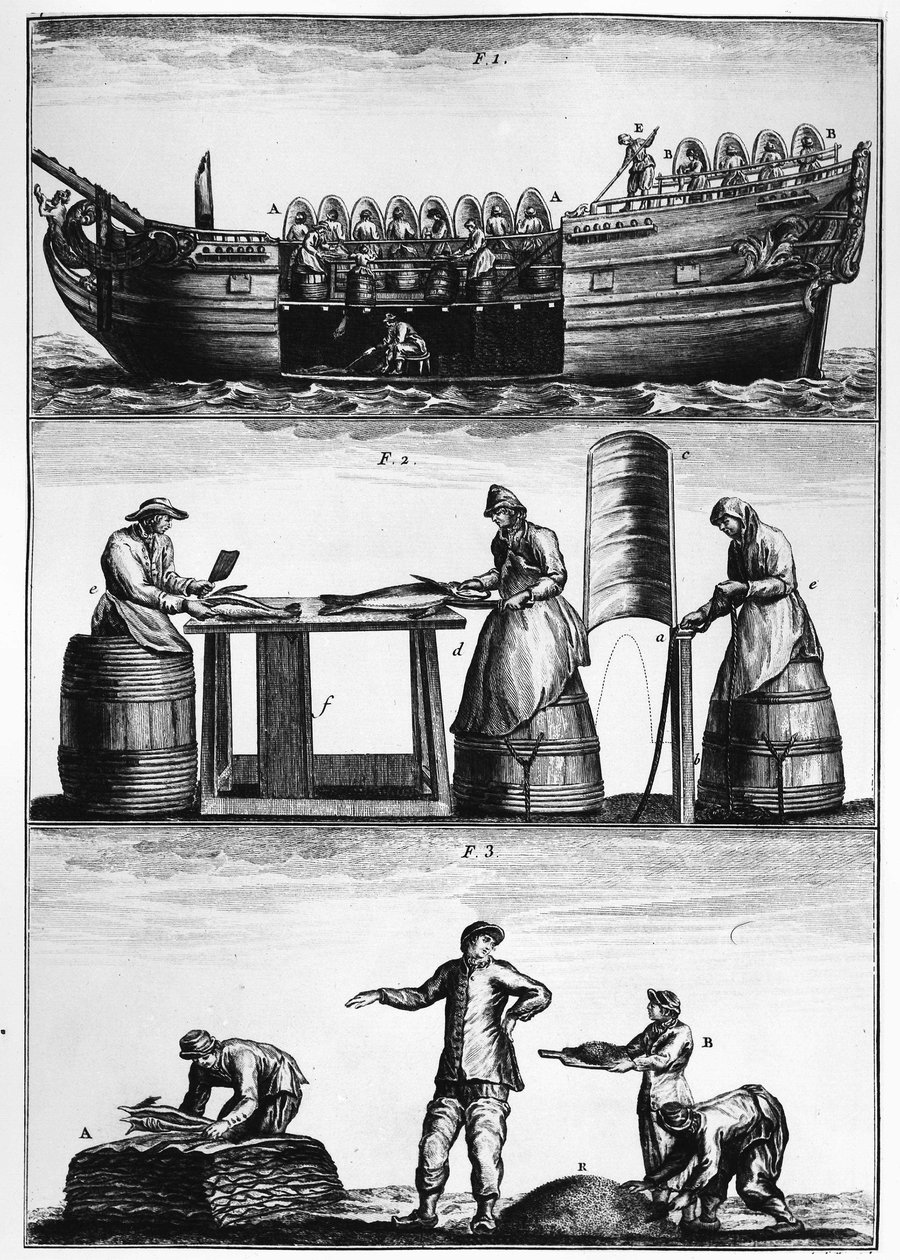 Dorschfischerei: Laden, Schneiden und Salzen von Fisch - in „Traité général des pêches“ von Duhamel du Monceau von French School