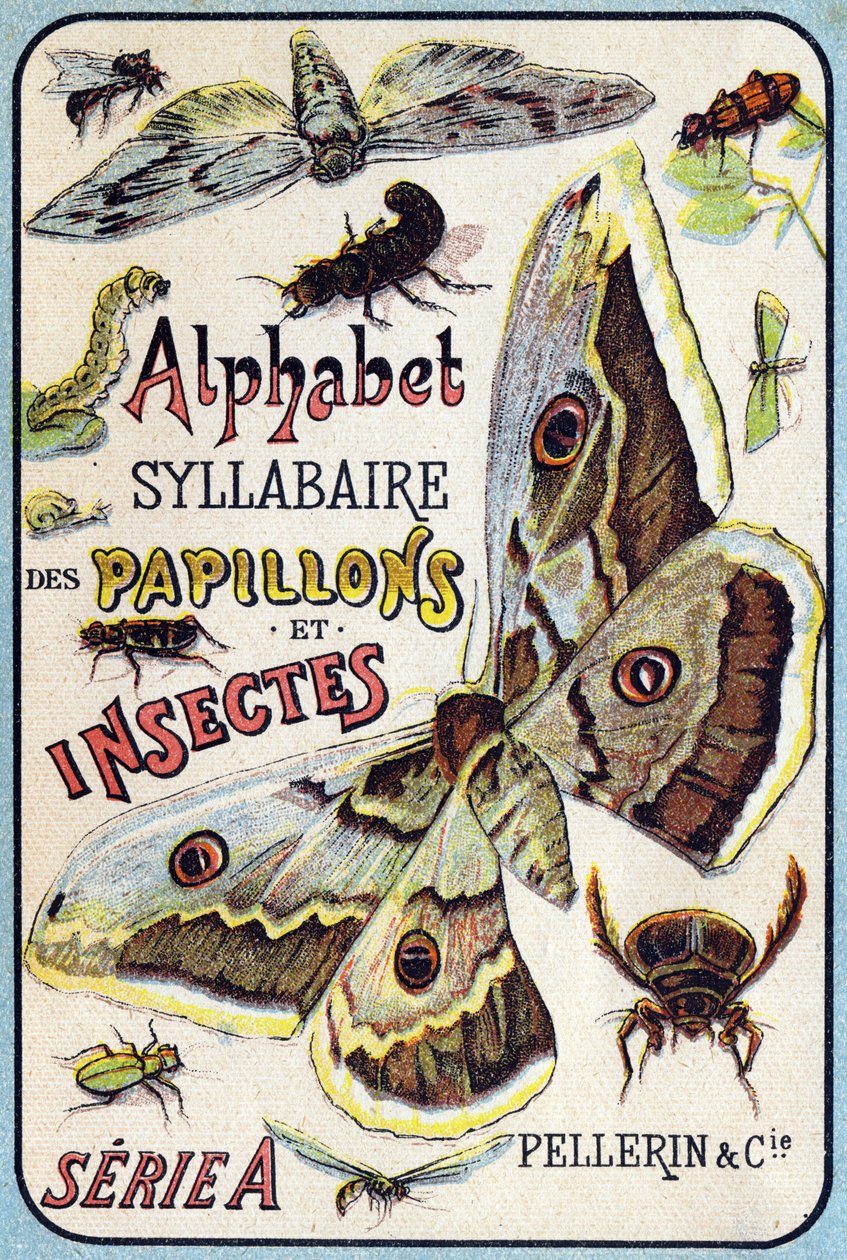 Deckblatt von "Syllabary alphabet of butterflies and insects". Serie A. Pellerin et Cie, Drucker-Verleger, Epinal, Ende des 19. Jahrhunderts. von French School