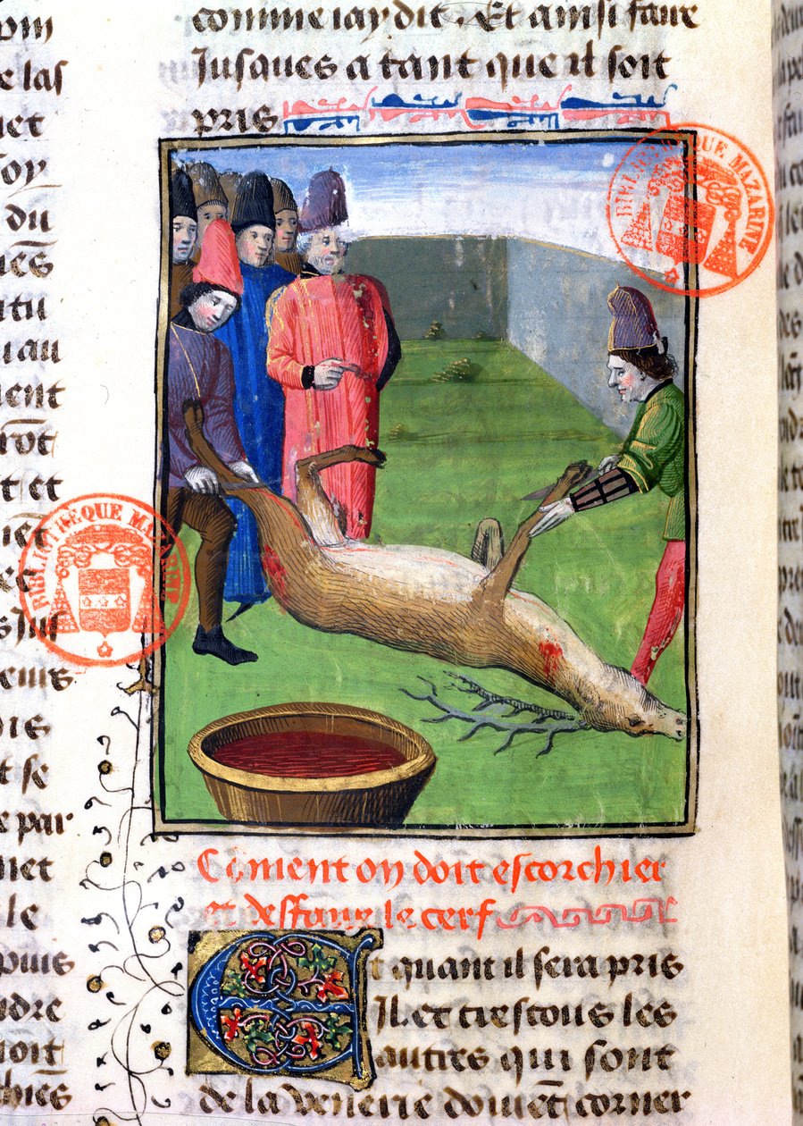 Die Beine eines toten Hirsches abschneiden, aus dem Livre de la Chasse von Gaston Phebus de Foix (1331-91) von French School