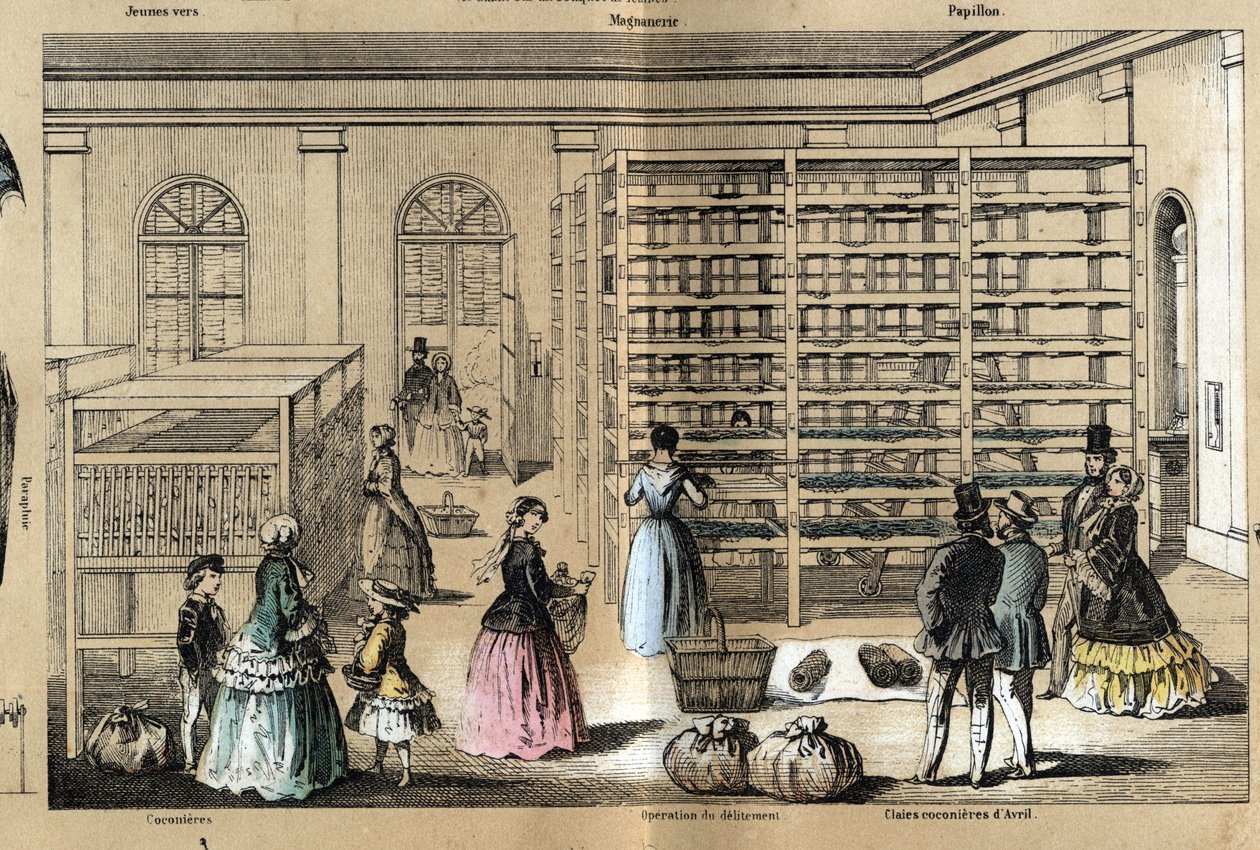 Beschreibung der Kultur und Seidenprodukte: in der Mitte die Magnanerie mit den verschiedenen Stadien der Seidenraupenzucht. Tafel „Die Seide“ in „les Recreations instructives“ Synoptisches Gemälde von Jules Delbruck, Gravur von 1860. Private Sammlung von French School