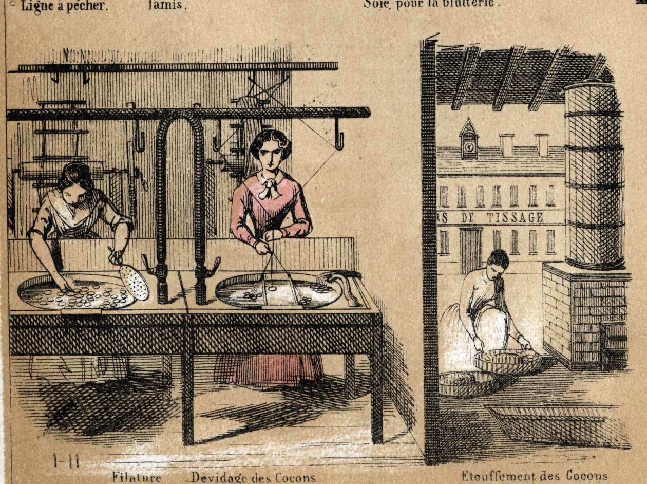 Beschreibung der Kultur und Seidenprodukte: Arbeiter spinnen Seide, entfernen oder ersticken Kokons. (la soie) von French School