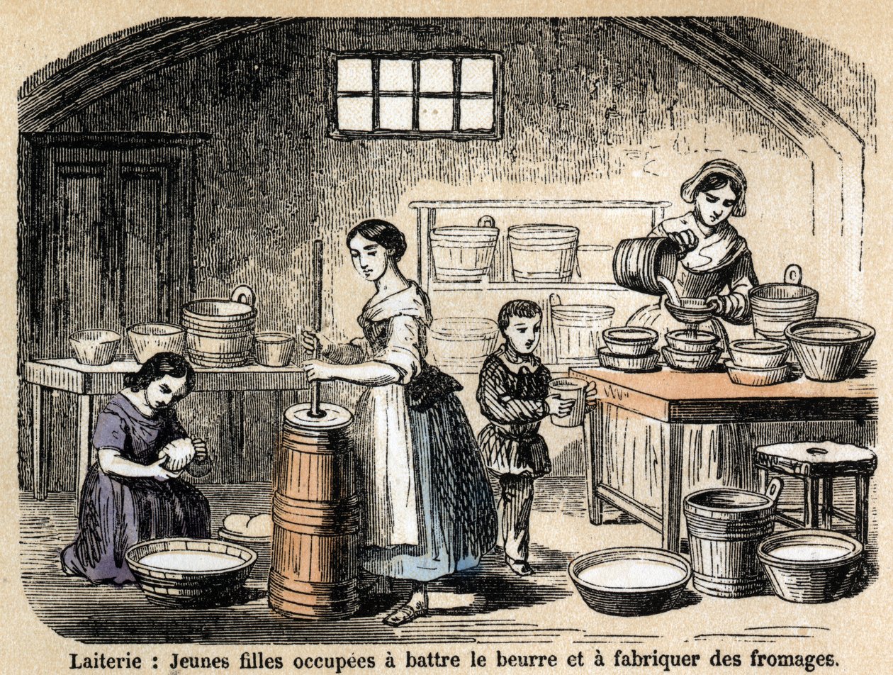 Beschreibung der verschiedenen Berufe und Schafprodukte: junge Milchbauern stellen Butter und Käse in einer Molkerei her. Tafel „Die Schafe“ in „Les Recreations instructives“. Synoptisches Gemälde von Jules Delbruck, Gravur von 1860. von French School