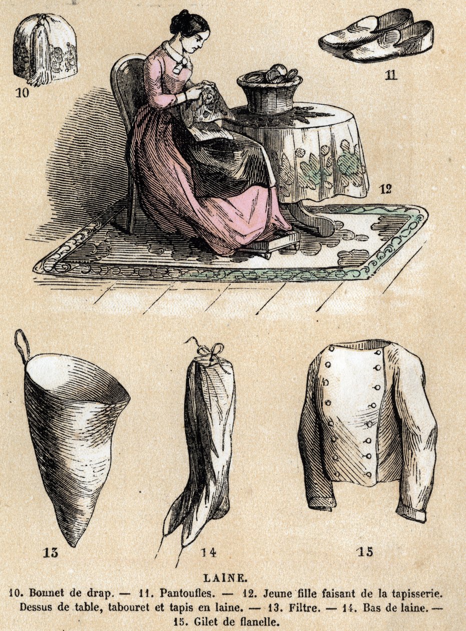 Beschreibung der verschiedenen Verwendungen und Produkte aus Schaf: Wandteppiche und Wollprodukte, Hut, Hausschuhe, Wollstrümpfe, Flanellweste. Tafel „Die Schafe“ in „Les Recreations instructives“, Synoptisches Gemälde von Jules Delbruck, Gravur von 1860.  von French School
