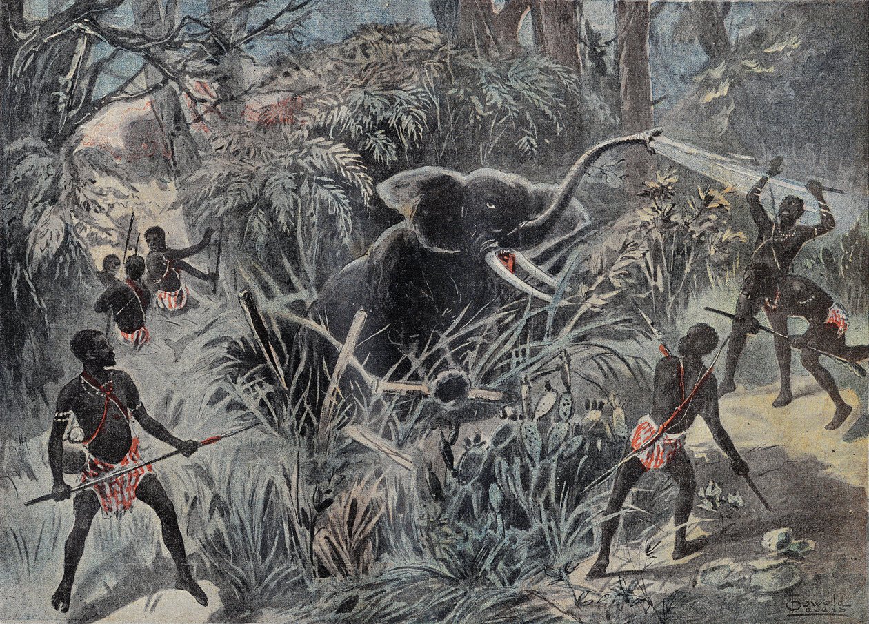 Elefantenjagd in Afrika. Der Elefant fällt in eine Grube, bevor er mit Pfeilen erledigt wird. Gravur in „Le Pelerin“ 22.01.1899. von French School