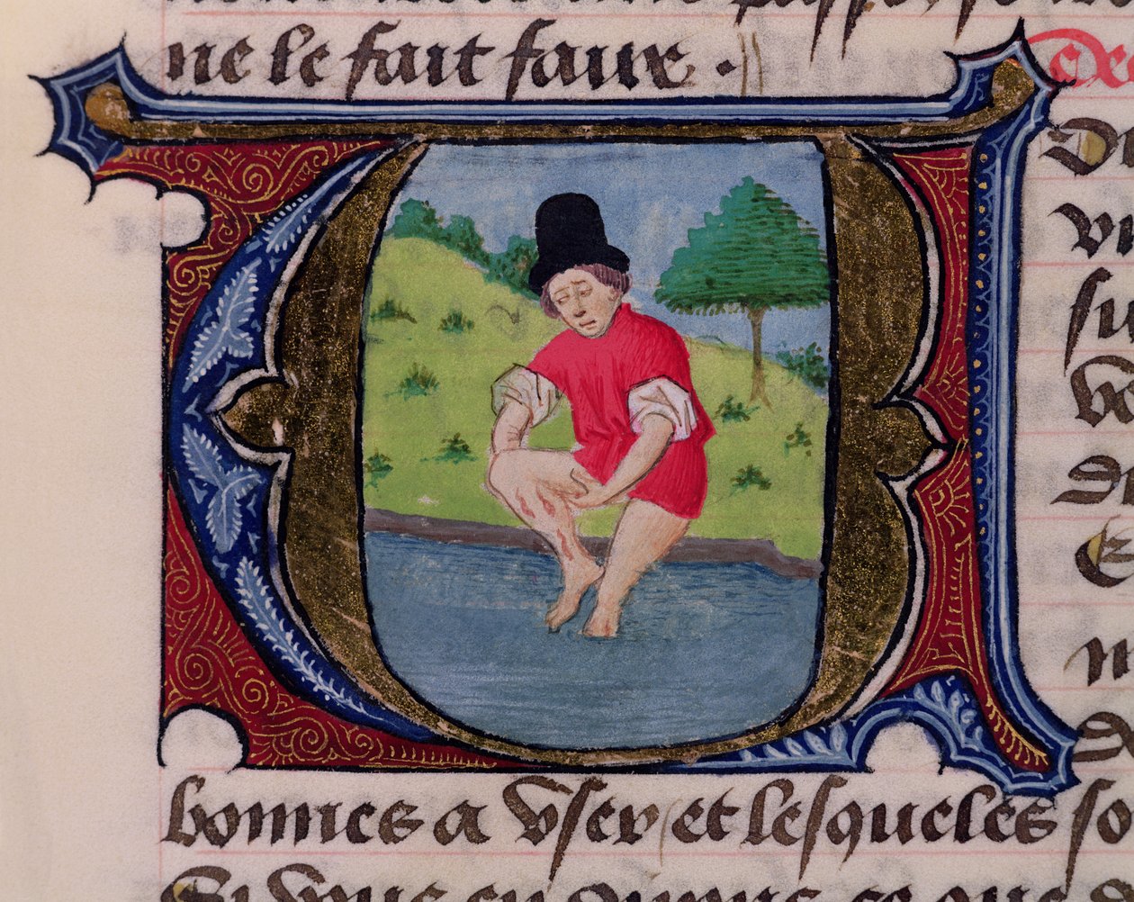 F.27v Aderlass, aus Traite de Medecine von Aldebrande de Florence, 1356 von French School