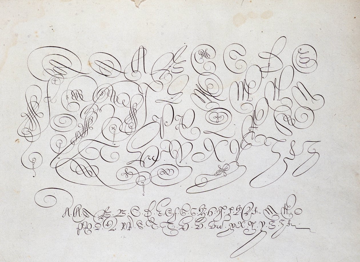Französische Kalligraphie: Platte der Hauptstadt, Gravur von Frisius, Kalkograph des Königs von Robert Vignon im Garten des Schreibens um 1600. von French School