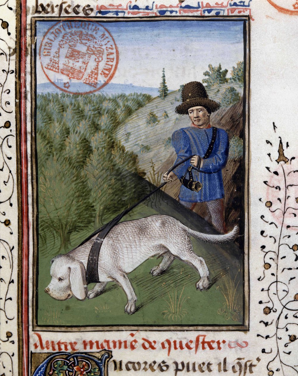 Jagdhund an einer Leine - aus „Book of Hunting by Gaston Phoebus, Count of Foix, Lord of Béarn“ von French School