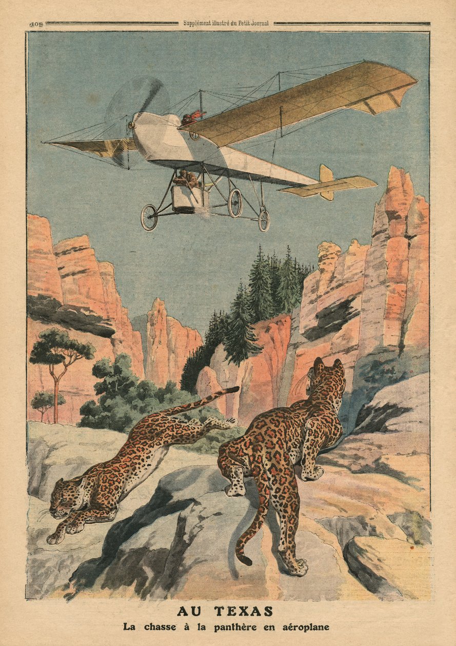 Pantherjagd aus einem Flugzeug in Texas, Illustration aus 