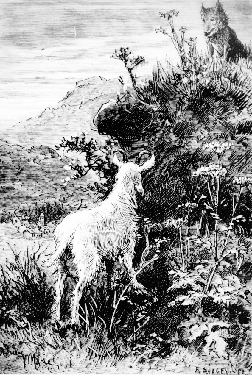 Illustration aus Mr. Seguins Ziege von Alphonse Daudet von French School