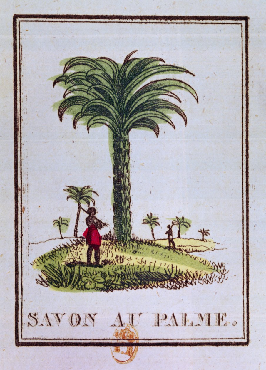 Etikett für eine Palmöl-Duftseife, Darstellung einer Palme von French School