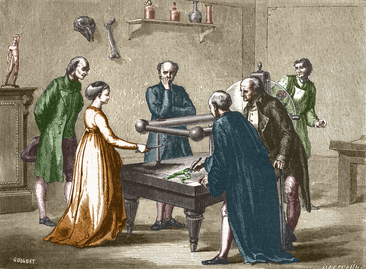 Luigi Galvani, Professor in Bologna, entdeckte 1780 die Reizbarkeit der Froschmuskeln durch Elektrizität - in „Album der Wissenschaft; illustre Wissenschaftler; Große Entdeckungen“ 1896 von French School