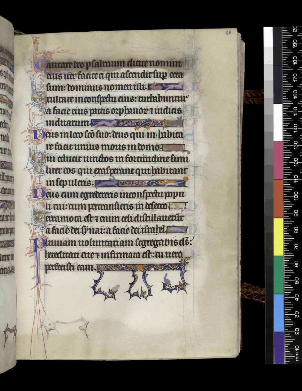 Folio aus dem Psalter und Stundenbuch der Isabella von Frankreich, Paris, um 1265-70 von French School