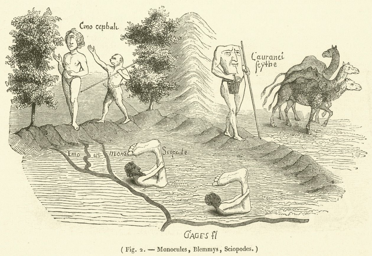 Monokel, Blemmys, Sciopoden (Gravur) von French School