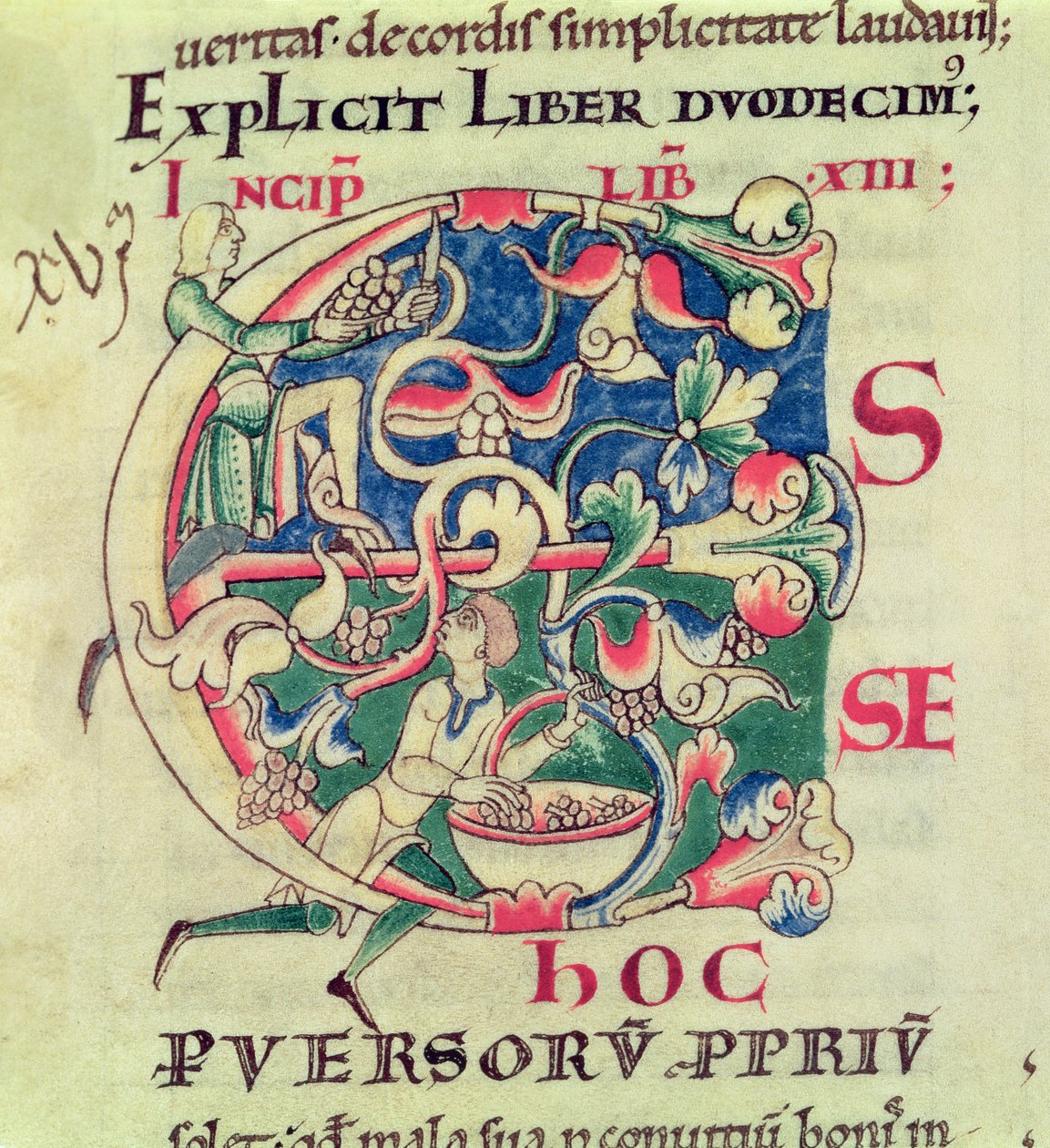 Ms 173 f.32 Historisierte Initiale E, die die Weinlese darstellt, aus Moralia in Job von Papst Gregor dem Großen von French School