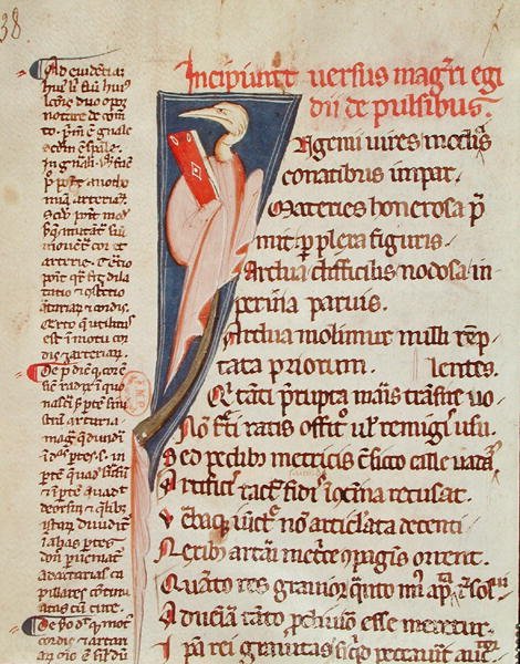 Ms 2046 fol.438 Ein Vogel hält ein Buch von Gilles de Corbeil (1165-1222) aus 