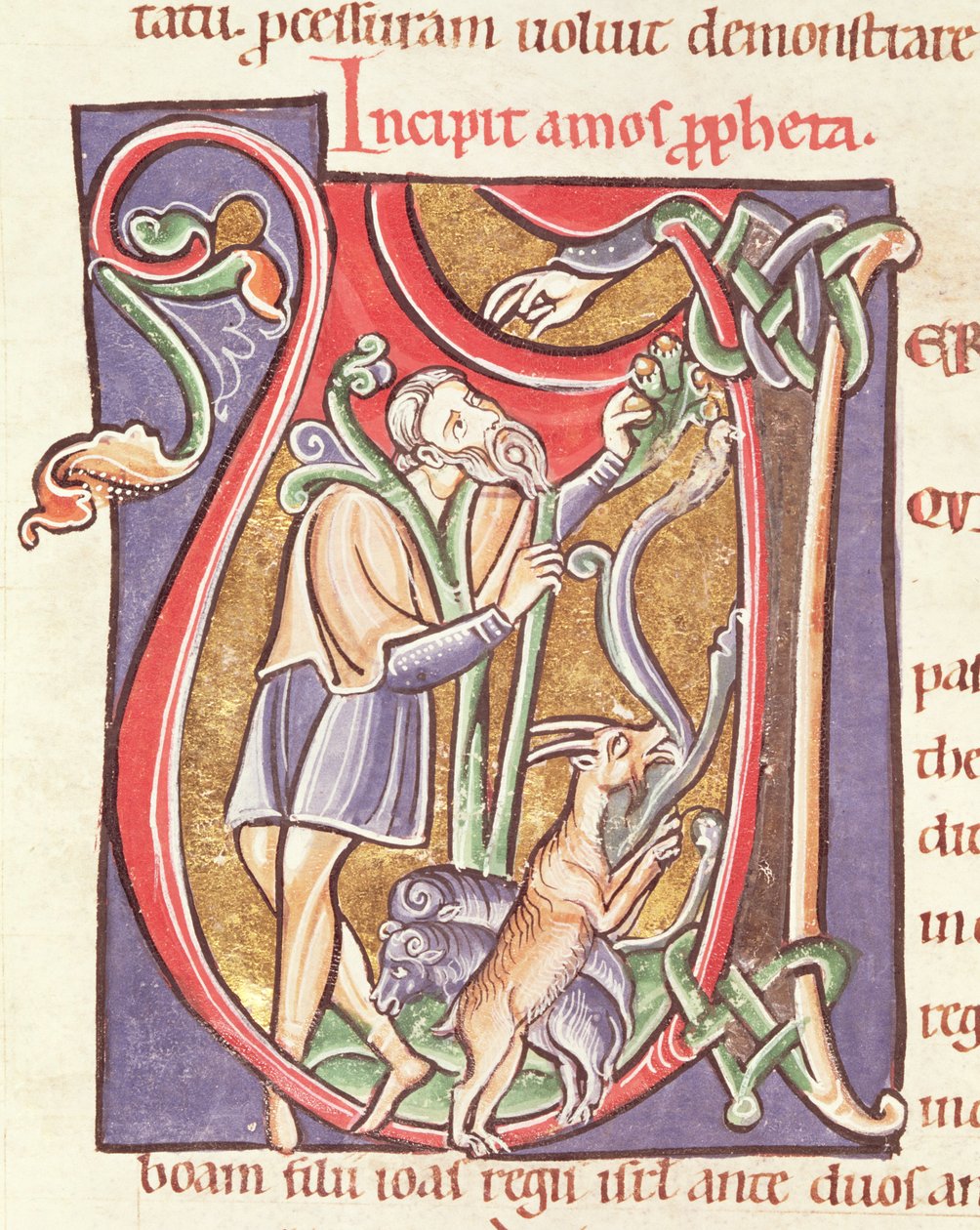 Ms 3 fol.234v Historisierte Initiale V mit Amos, aus der Bibel von Saint-Sulpice de Bourges von French School