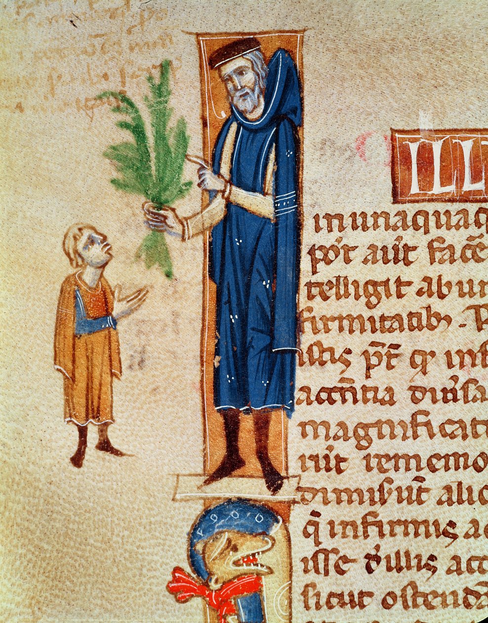 Medizinische Pflanzen, Illustration aus Traite de Medecine von Claudius Galenus, übersetzt von Gerard de Cremone von French School
