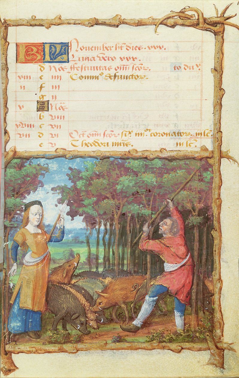 Ms 438 Der Monat November: Eicheln sammeln, aus einem Stundenbuch, 1490 von French School
