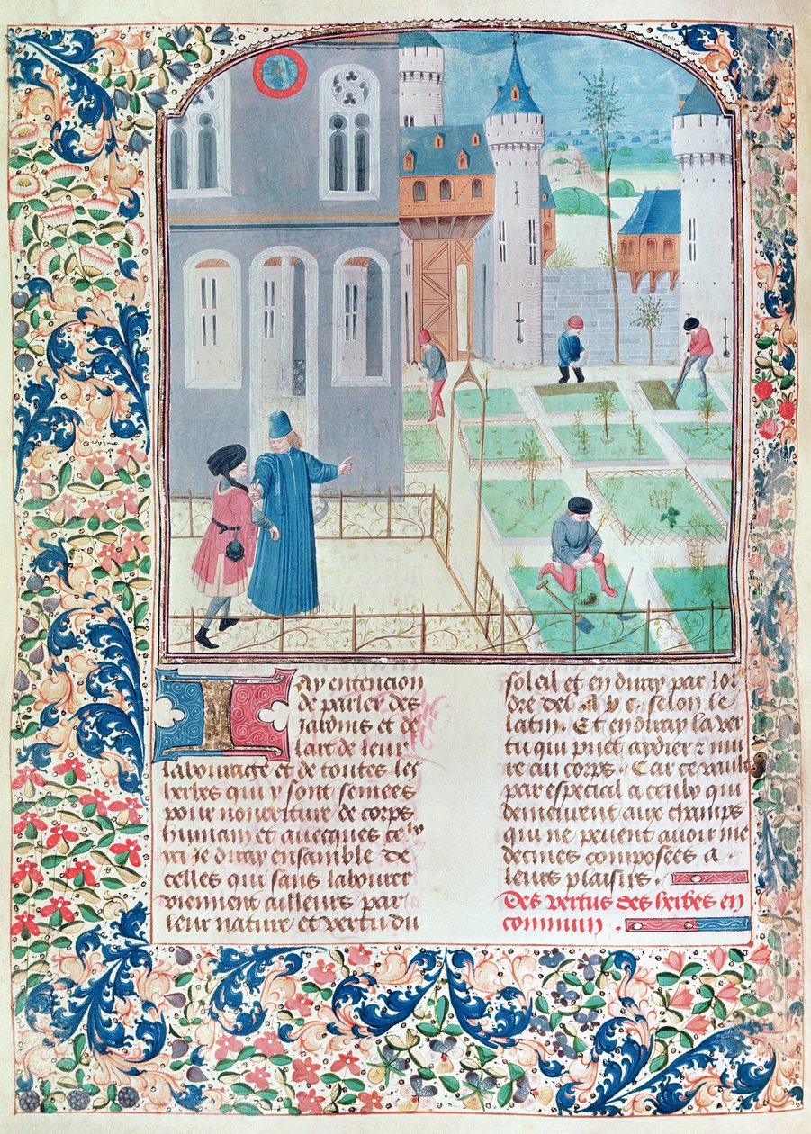 Ms 5064 f.151v Der Garten, Illustration aus Le Livre des Prouffitz Champestres von Pietro de Crescenzi (1230-1320) von French School