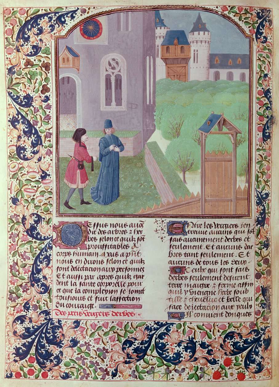 Ms 5064 f.202v Der Obstgarten, Illustration aus Le Livre des Prouffitz Champestres von Pietro de Crescenzi (1230-1320) von French School