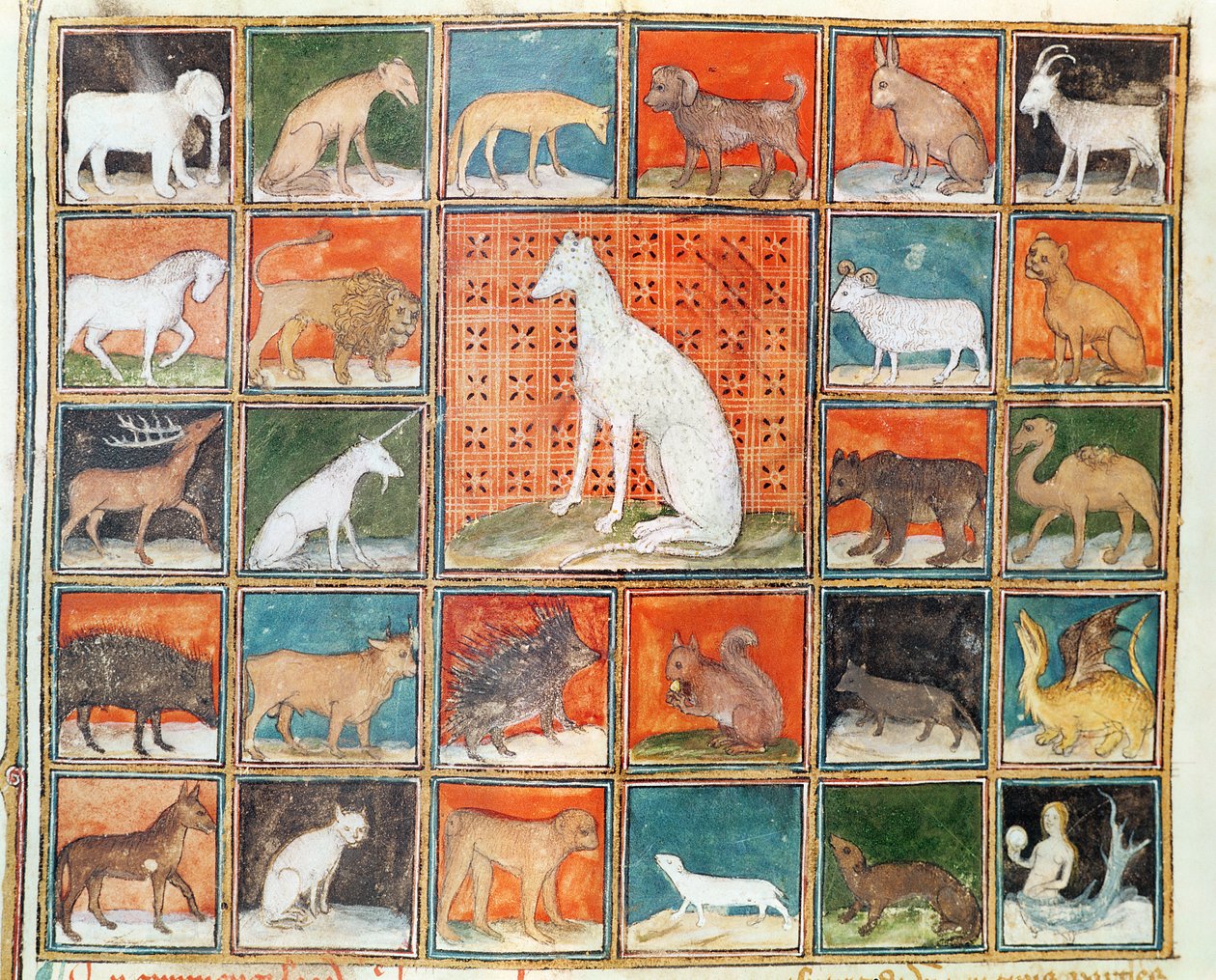 Ms 993 fol.254v Die Eigenschaften der Tiere: Die Säugetiere, aus Le Livre des Proprietes des Choses von Jean Cordichon von French School