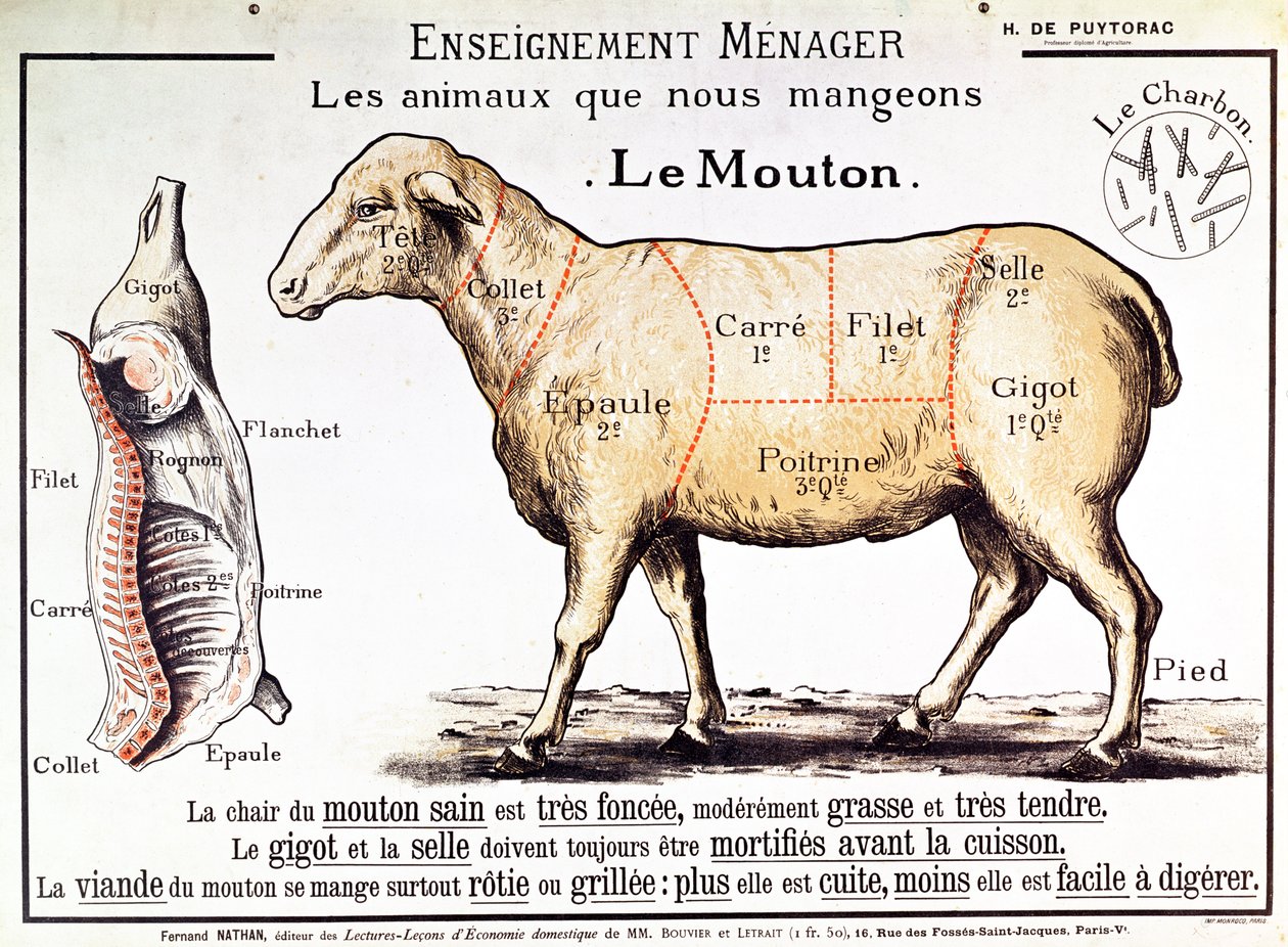 Hammelfleisch: Diagramm der verschiedenen Fleischstücke von French School