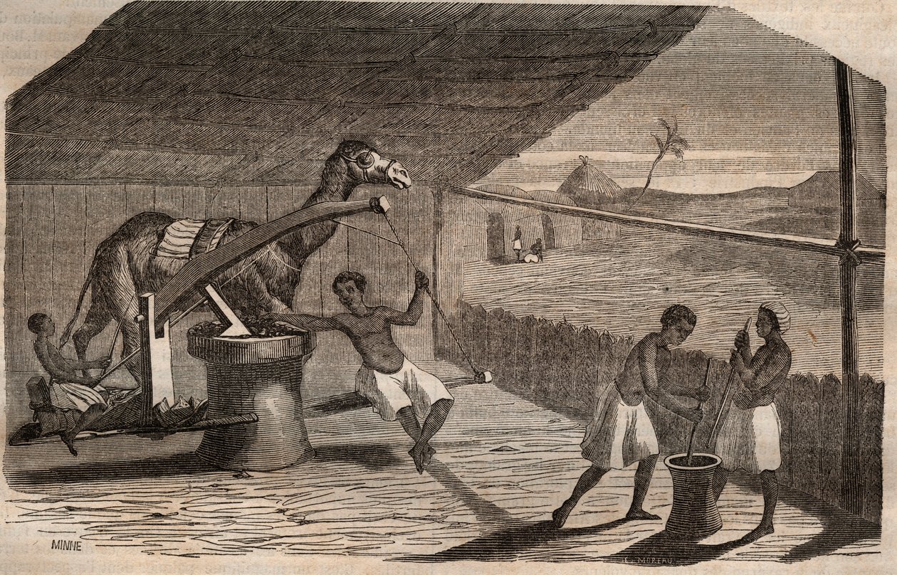 Ölmühle an der Westküste Afrikas von French School