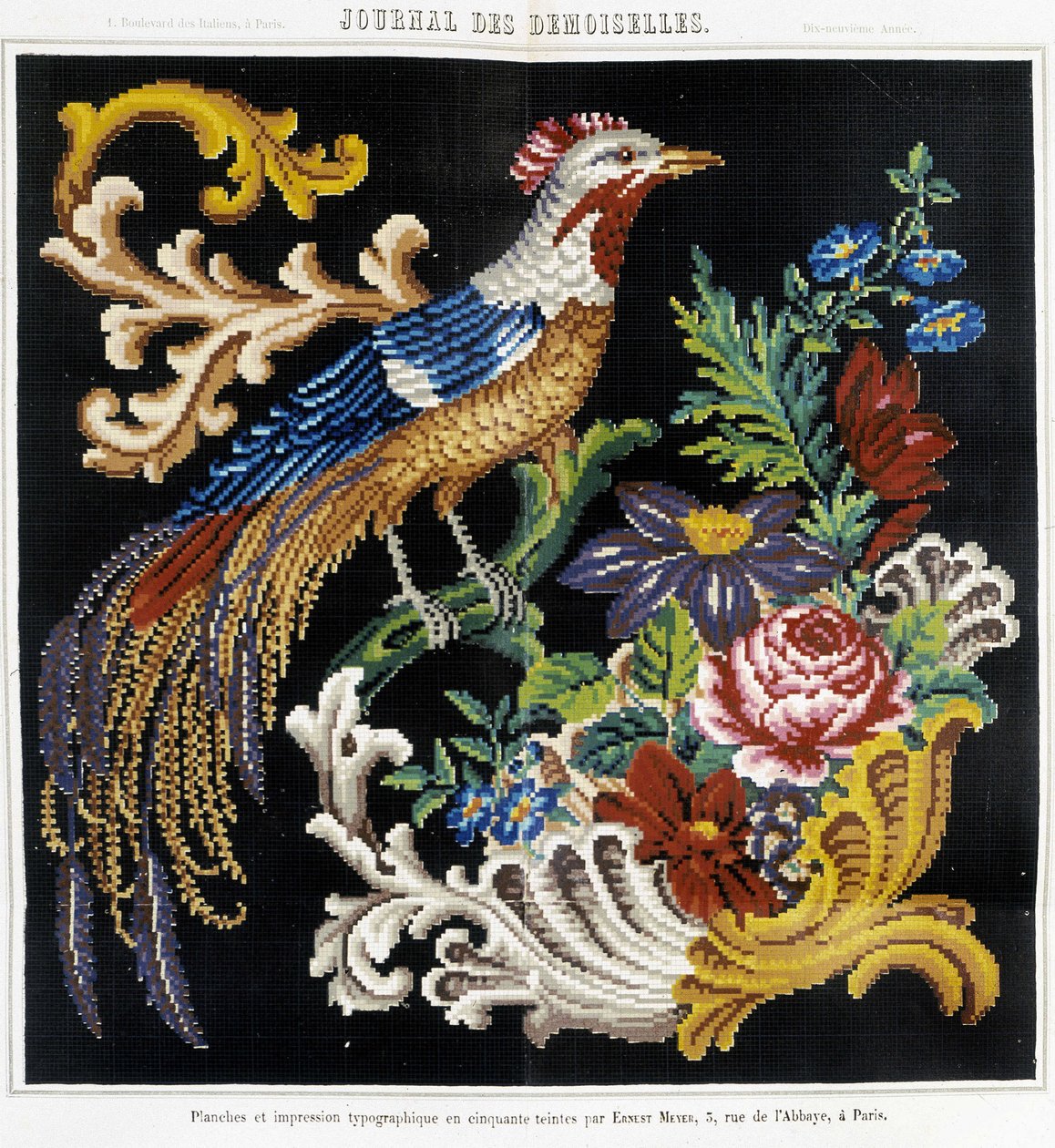 Muster für Kreuzstichstickerei (Paradiesvogel) - in „Journal des Demoiselles“ 1852. von French School