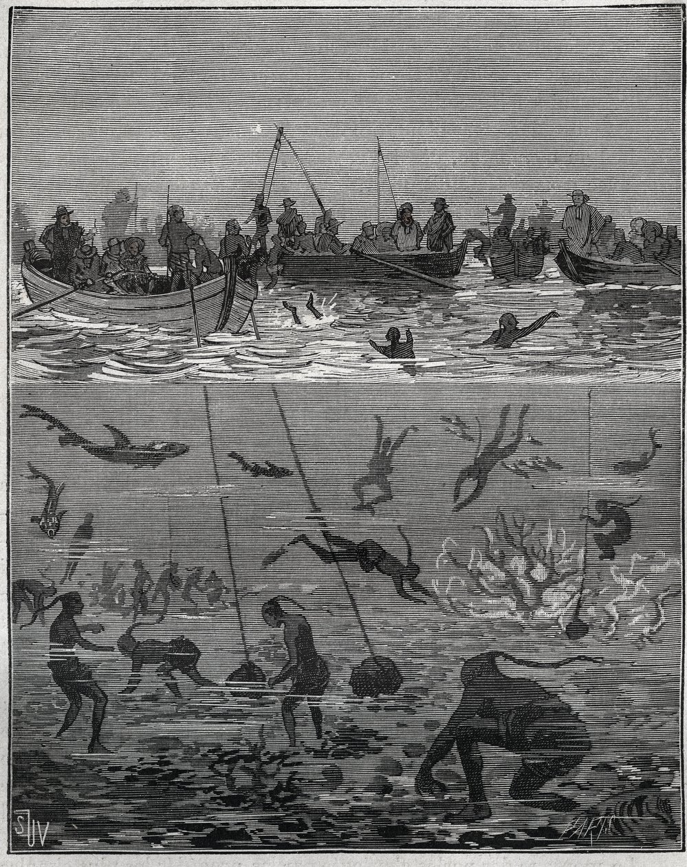 Perlenfischer in Ceylon (heutiges Sri Lanka) im 19. Jahrhundert. Gravur von 1885 in „Les arts et métiers illustrés“ von Adolphe Bitard. von French School