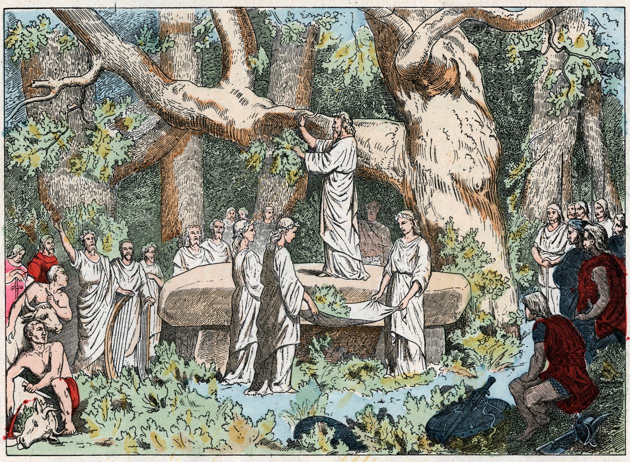 Mistelsammeln der Druiden in Gallien, Ende des 19. Jahrhunderts (Gravur) von French School