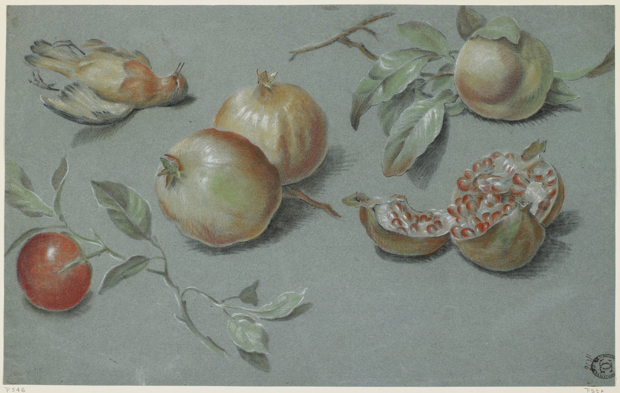 Granatäpfel und toter Vogel, frühes 19. Jahrhundert von French School